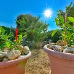 Apartamento Seaside Apartments With A Swimming Pool Vir - Torovi - Vir - Pedinka, Vir - 18587 *